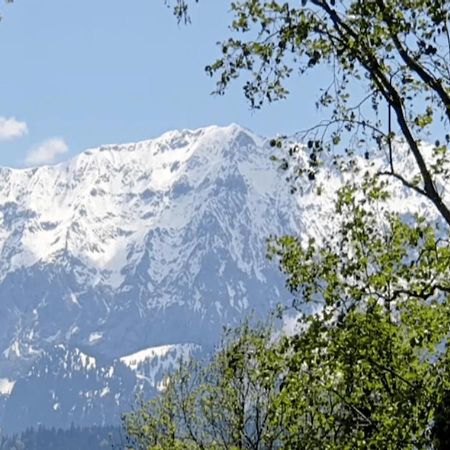 Panoramahaus Hopfner Naehe Zugspitze Und Eibsee Гармиш-Партенкирхен Екстериор снимка